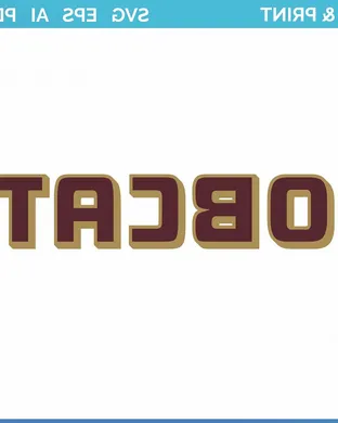 Texas State Bobcats Boise