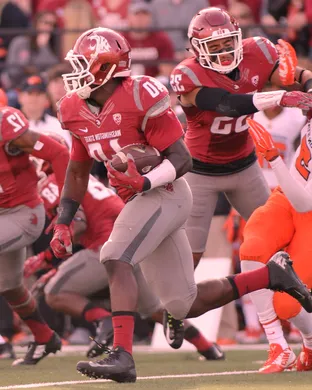 Washington State Cougars Football Pullman