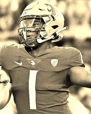 Washington State Cougars Pullman